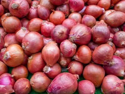 Background heads red onions